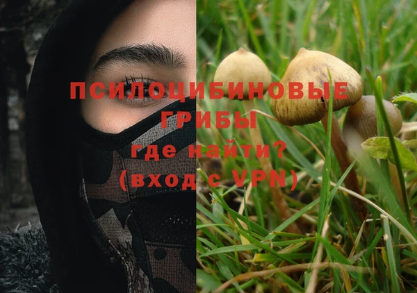 прущая мука Алзамай
