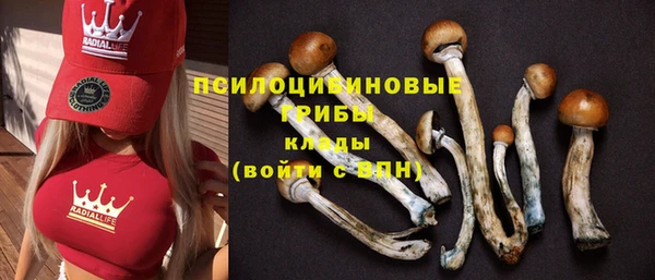 гашик Алексеевка