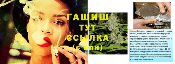гашик Алексеевка