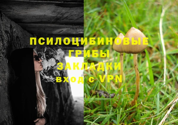 прущая мука Алзамай