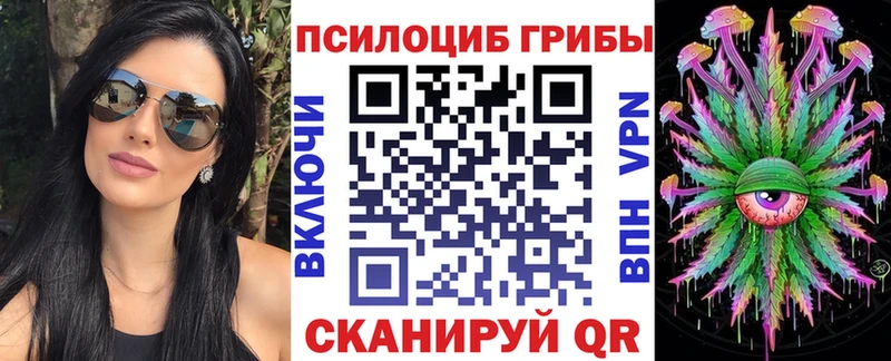 гидра как зайти  Кольчугино  Галлюциногенные грибы ЛСД 